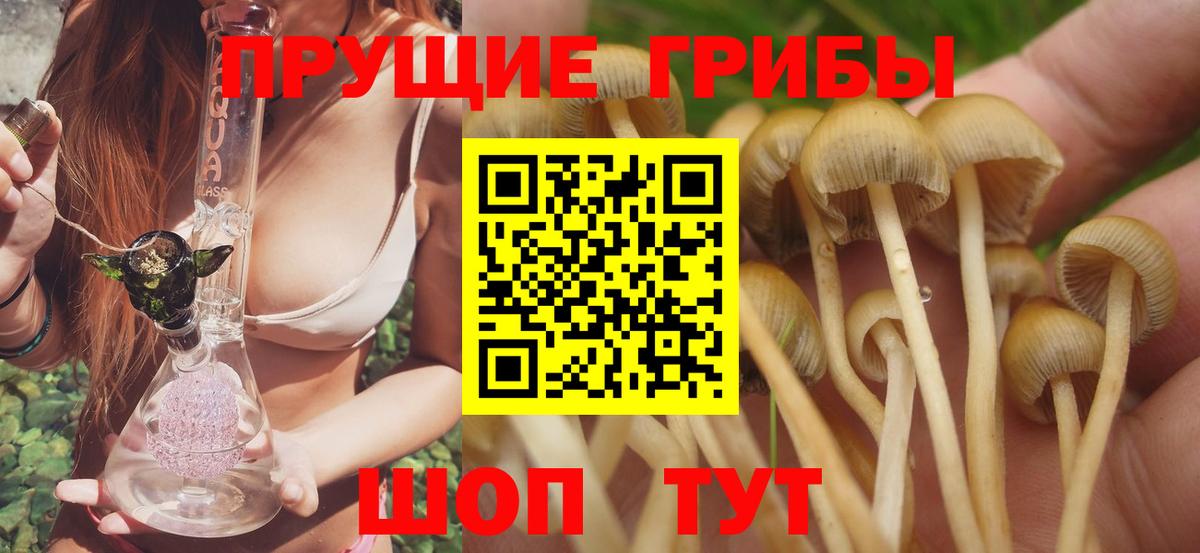 Галлюциногенные грибы MAGIC MUSHROOMS  Псилоцибиновые грибы Cubensis  Борисоглебск  Вход с VPN 